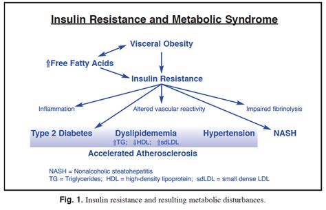 Insulin Resistance The Metabolic Syndrome X 1st Edition PDF